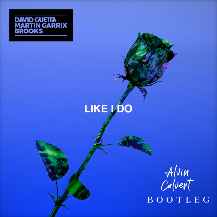 David Guetta Martin Garrix Brooks Like I Do Alvin Calvert