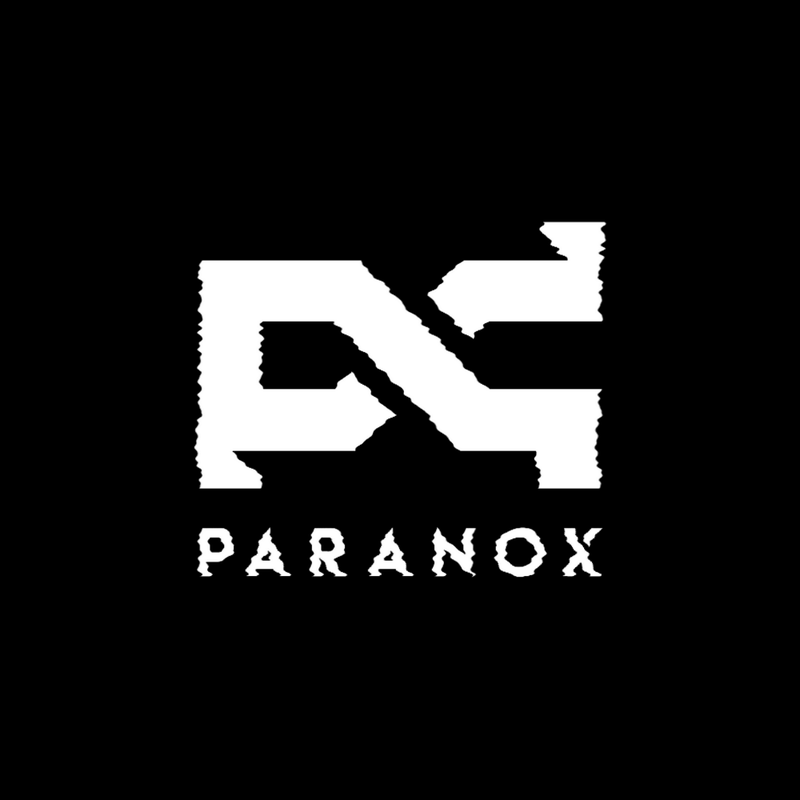 paranoise 2.0 stockx