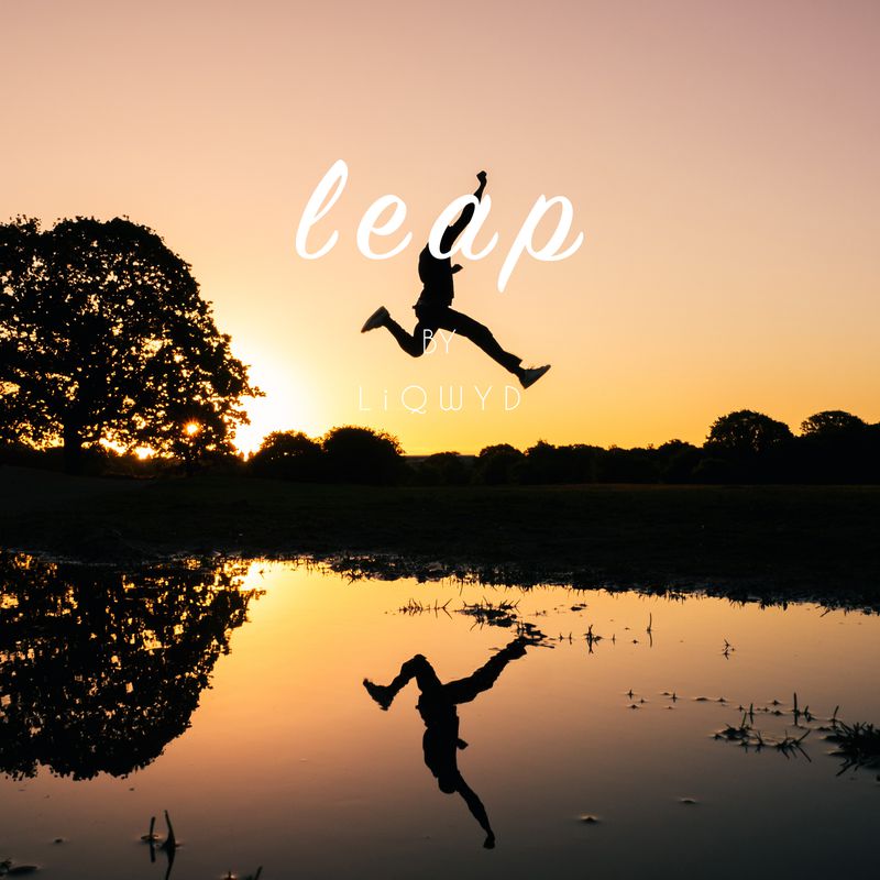Leap (Free Download) by LiQWYD Free download on ToneDen